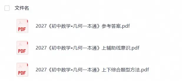 【方法技巧】2027《初中数学•几何一本通》上下册（马哥）-298资料