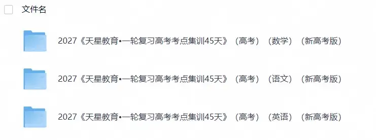 2027《天星教育•一轮复习高考考点集训45天》（高考）（语文数学英语）（新高考版）-298资料