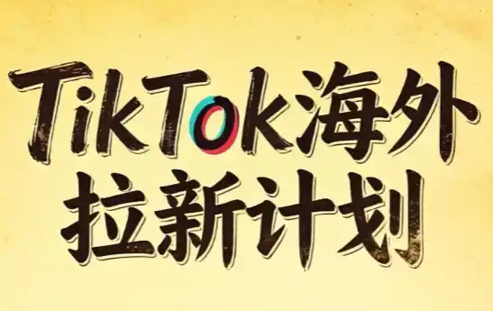 Tc联盟·TikTok海外拉新项目(更新9月)-298资料