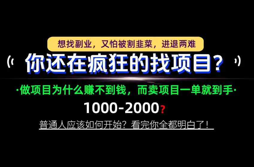 你还在疯狂的找项目？别傻了！卖项目才是真正的一本万利！怎么做，看完你全都明白！【揭秘】-298资料