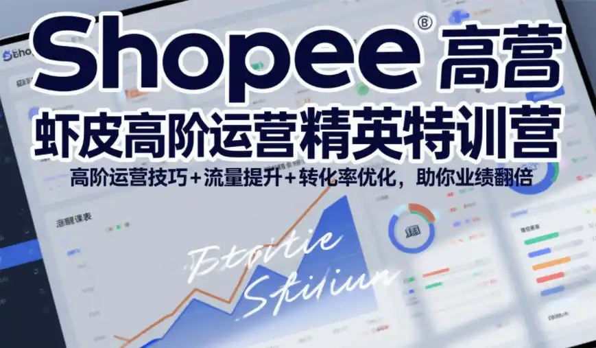 Shopee虾皮高阶运营精英特训营,高阶运营技巧+流量提升+转化率优化,助你业绩翻倍(更新26年9月)-298资料