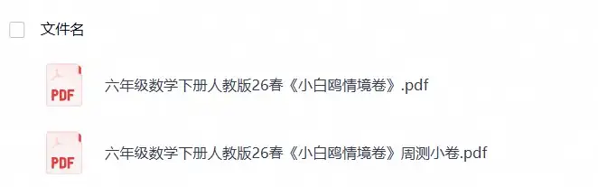 六年级数学下册人教版26春《小白鸥情境卷》-298资料